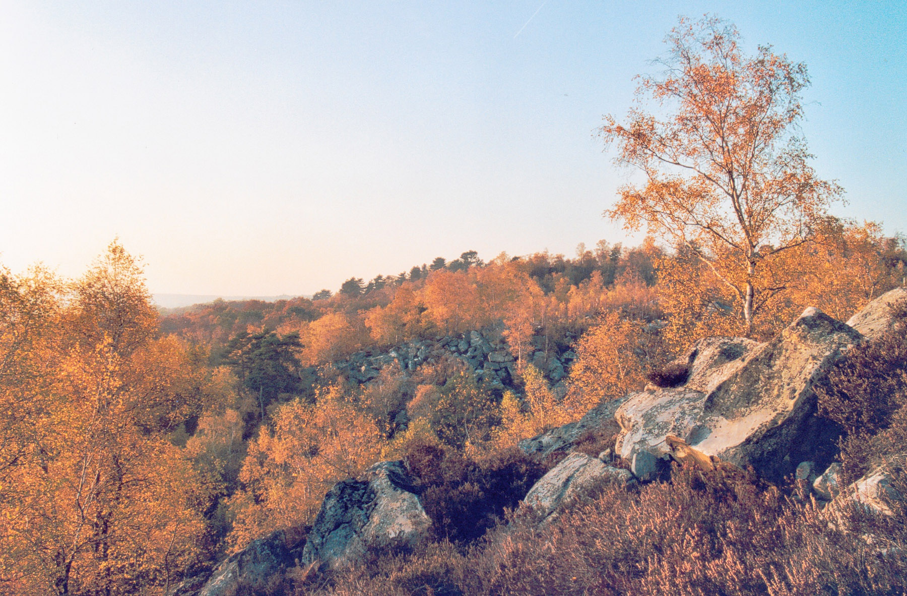 La forêt de Fontainebleau à l’automne