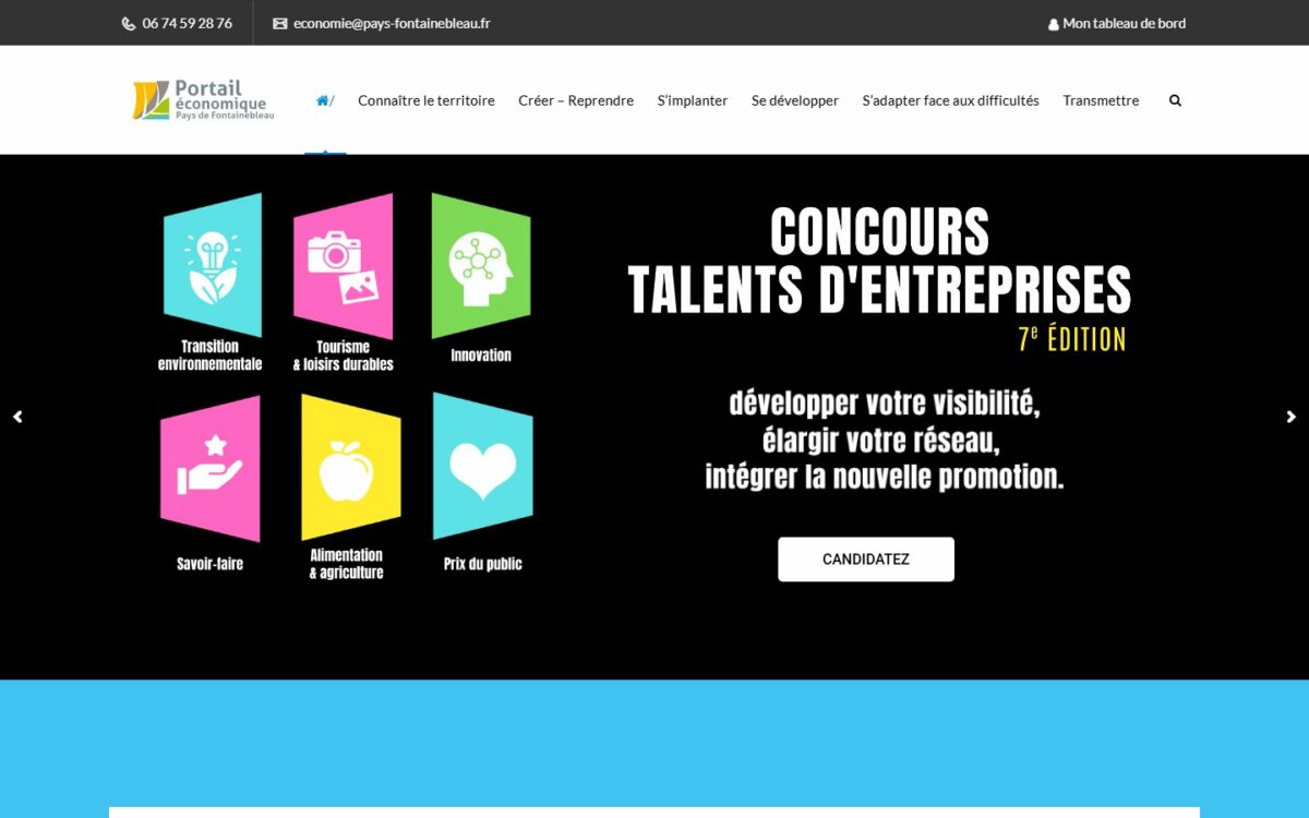 Page d'accueil du site Portail économique du Pays de Fontainebleau